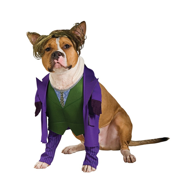 The Joker DC Comics Pet Dog Costume