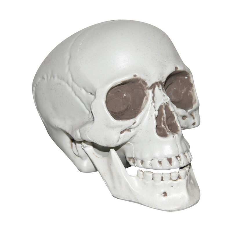 Realistic White Plastic Human Skull Head Halloween Decoration