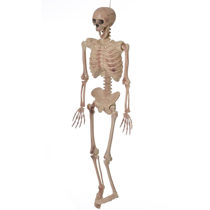 Life Size Hanging Skeleton Halloween Prop