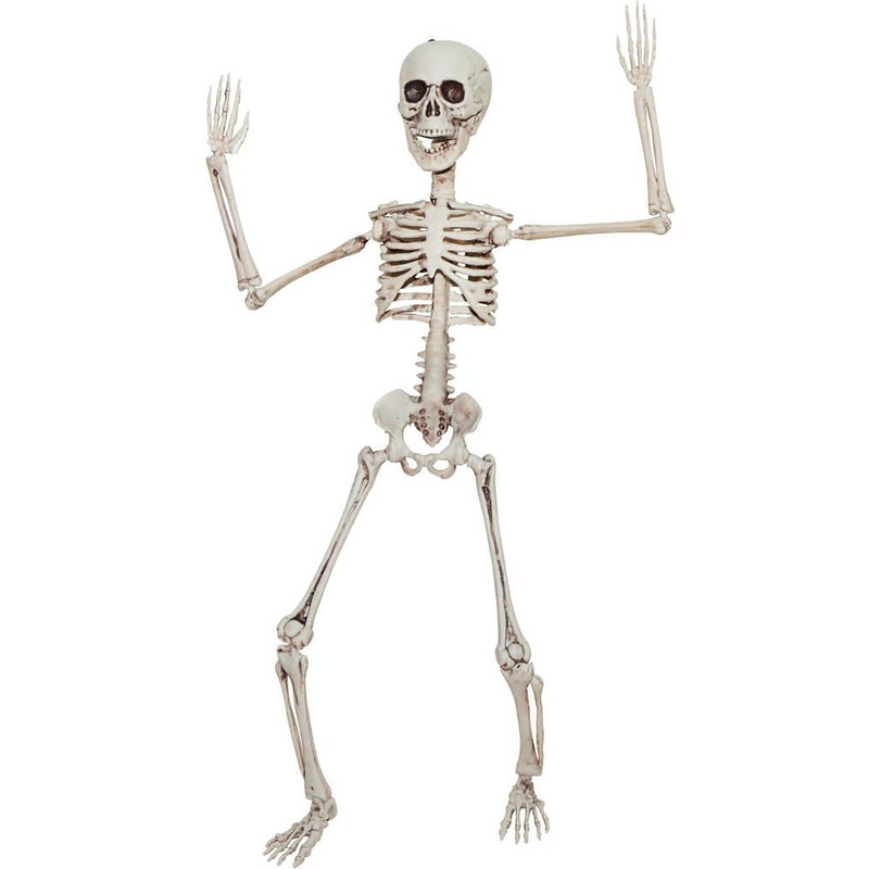 Small Poseable Plastic Human Skeleton Halloween Decoration