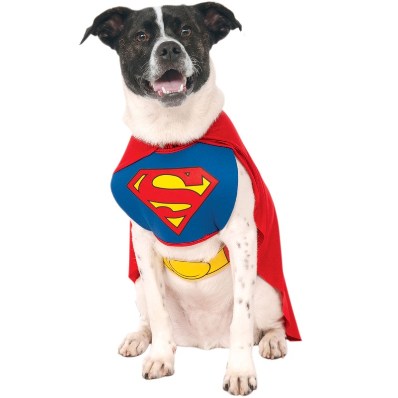 Classic Superman Pet Dog Costume
