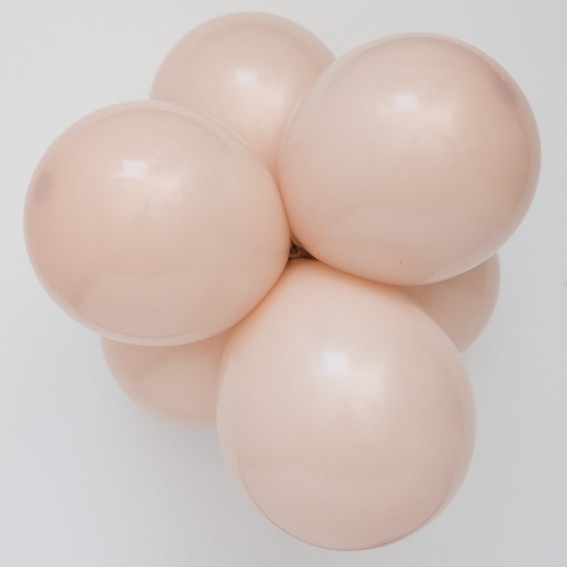 Chalk Seashell - Medium Cluster