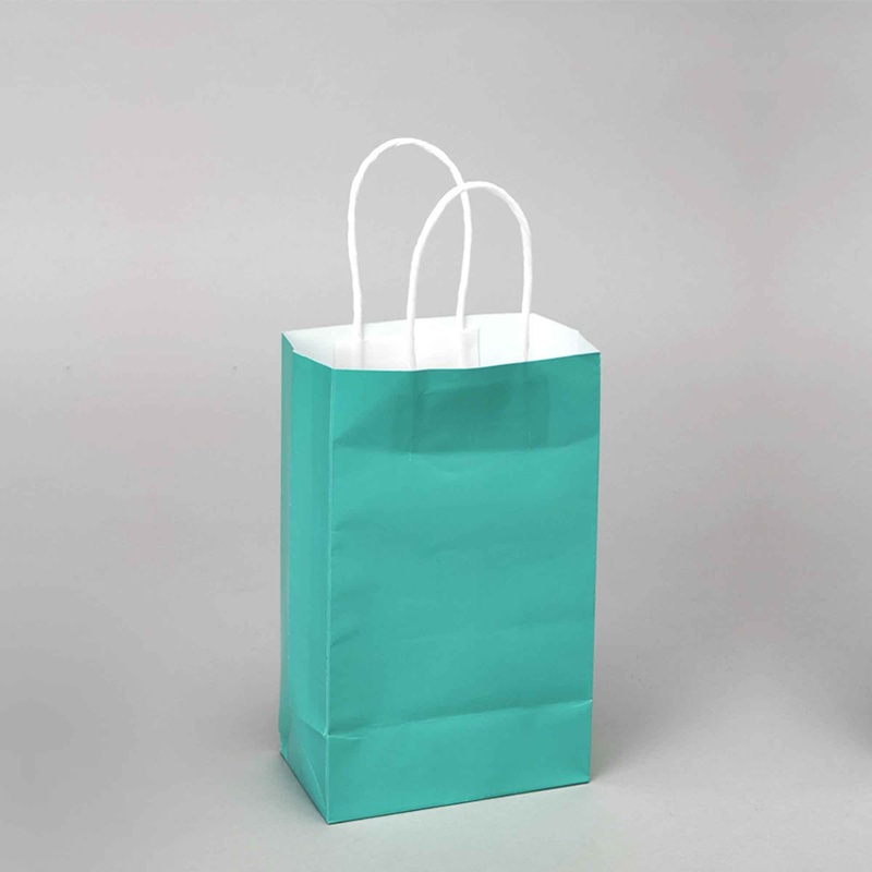 Small Gift Bags - Aqua