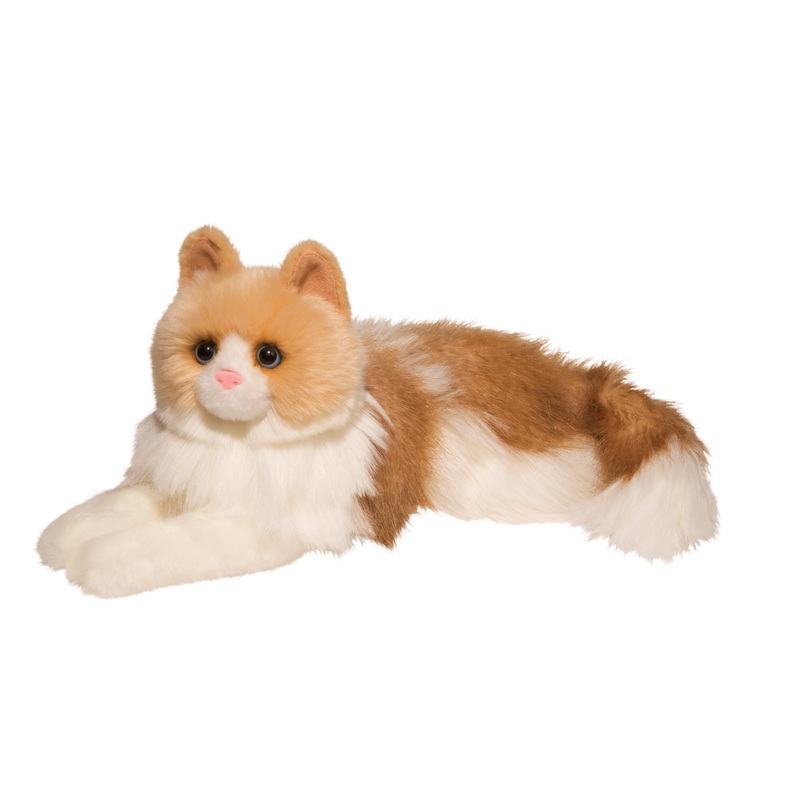 Kiki Ragdoll Cat