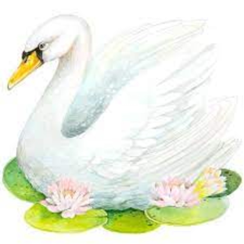 Die-Cut Swan Placemats
