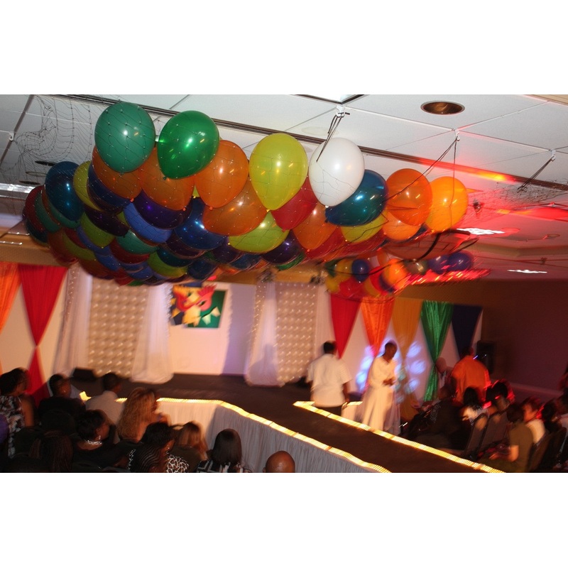BNP 17 Balloon Drop Net