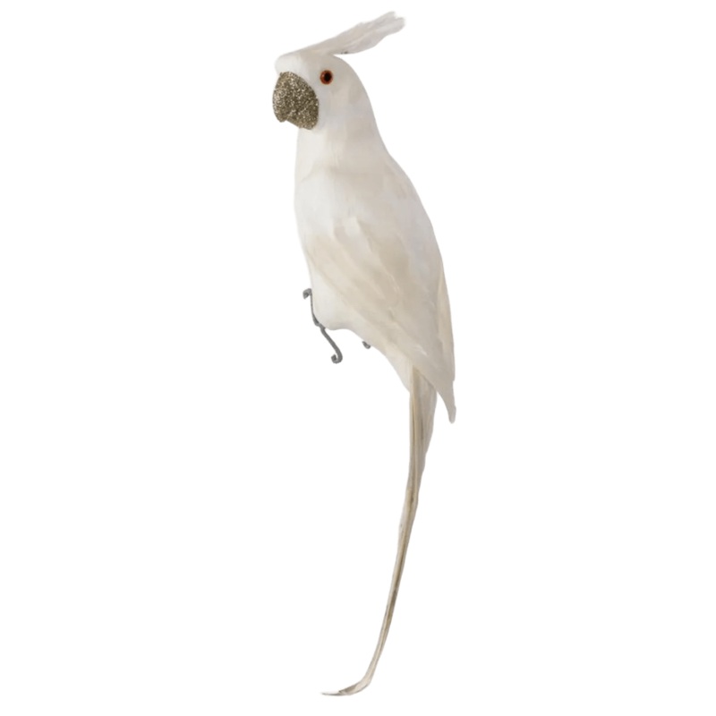 Bird Crawford Parrot White 70cm