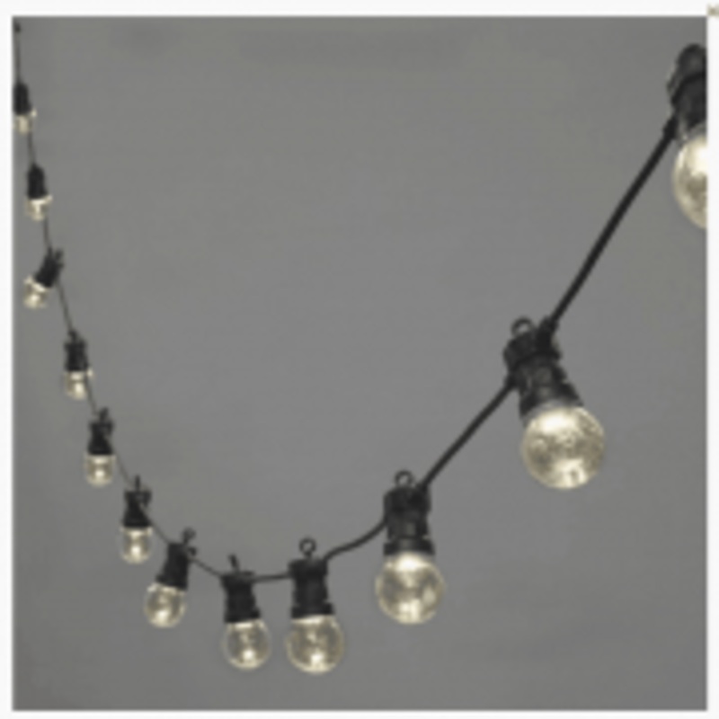 Lights Festoon with Timer Clear 20 Globes Warm White 10m