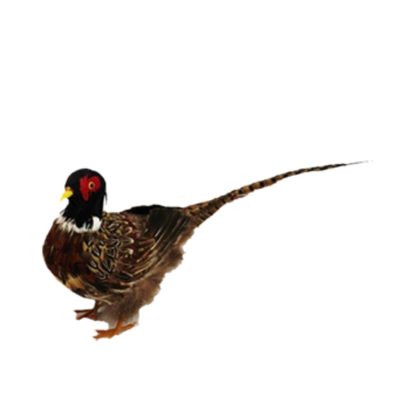 Pheasant Brown and White with Red and Yellow 56cm