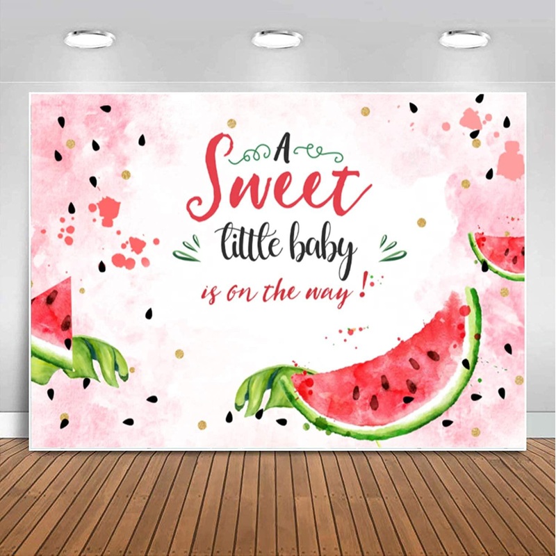 Pink Watermelon Baby Shower Backdrop Summer One in A Melon Watercolor Watermelon Theme Photography Background