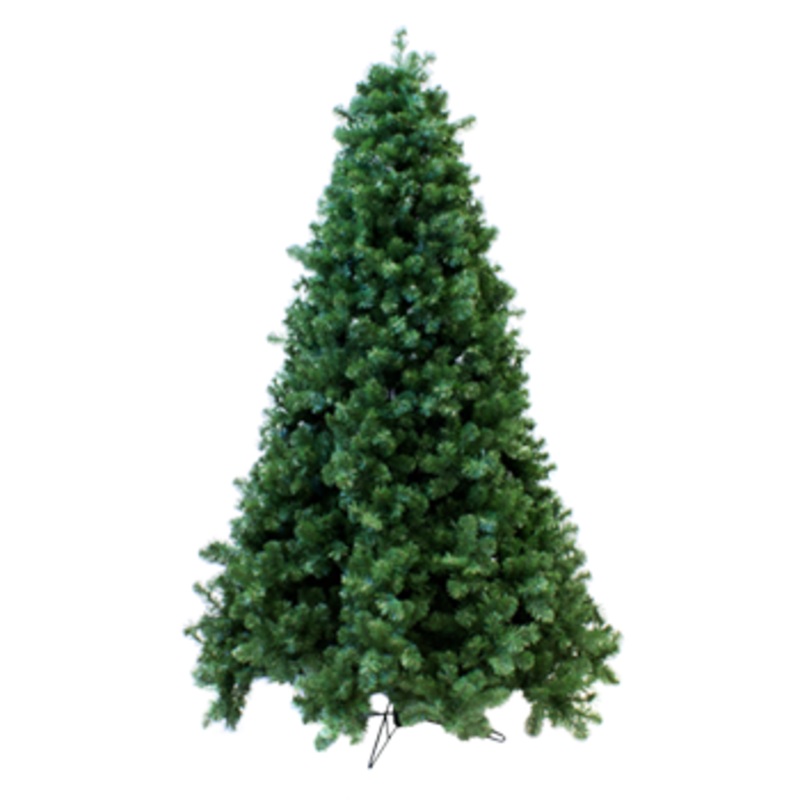 Tree Nordic 2.4m
