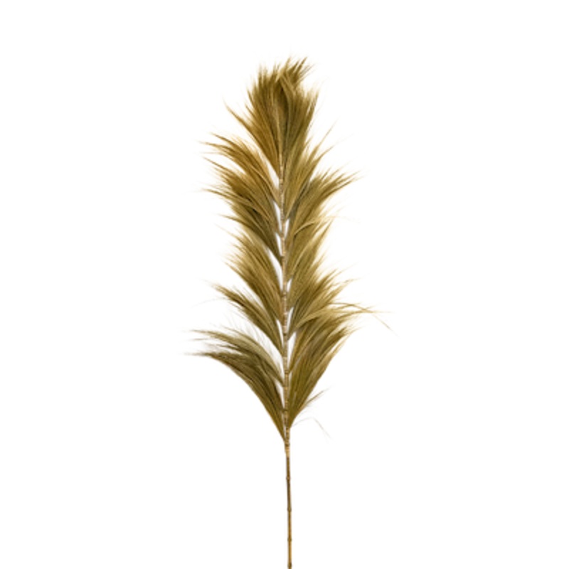 Brush spray Large natural 1.8m