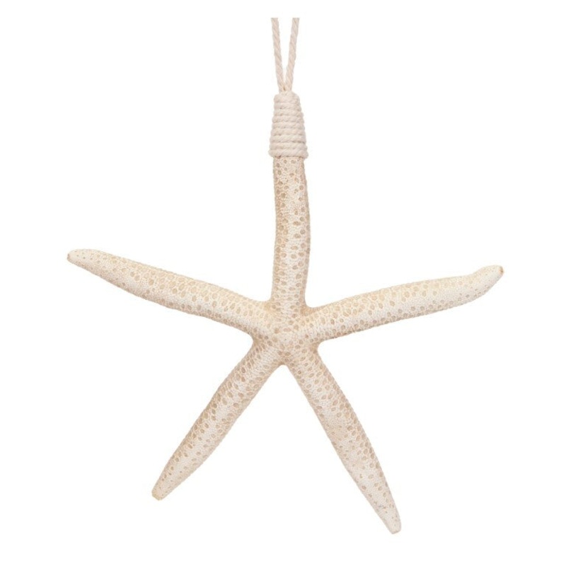 Starfish Hanging 14cm