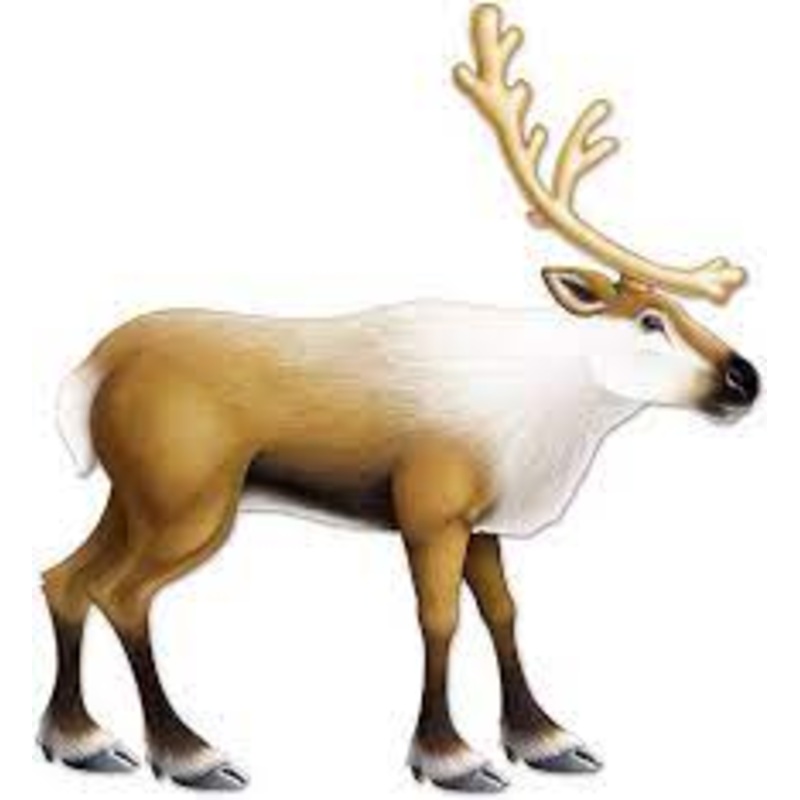 Reindeer Jointed Cutout