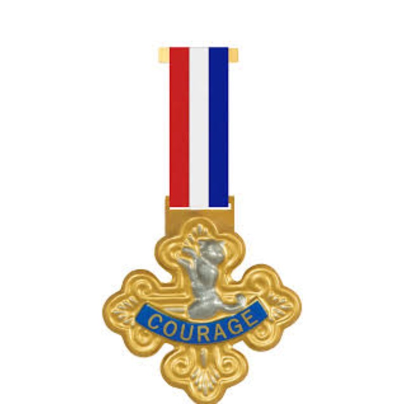 Badge of Courage - Wizard of Oz