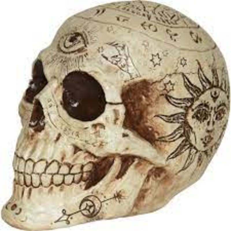 7" Plastic Fortune Telling Skull