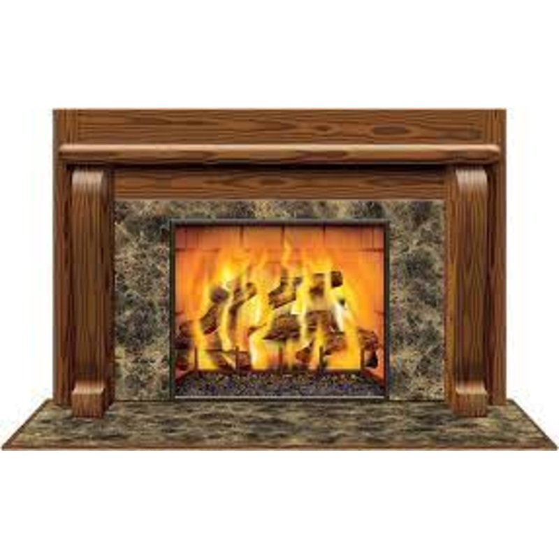 Insta View Fireplace