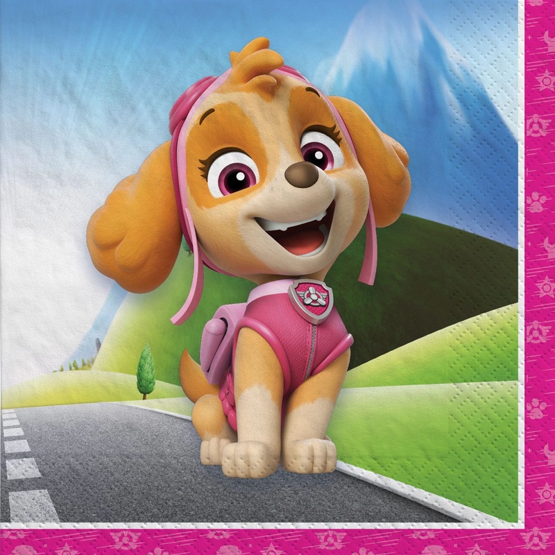 Paw Patrol Skye Beverage Napkin