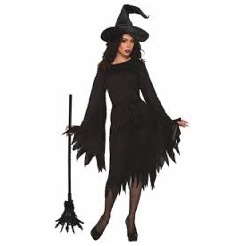 Wicked Witch Adult Costume