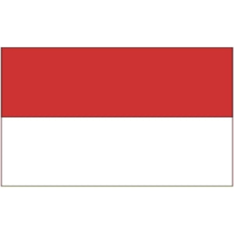 Flag 3X5 Indonesia