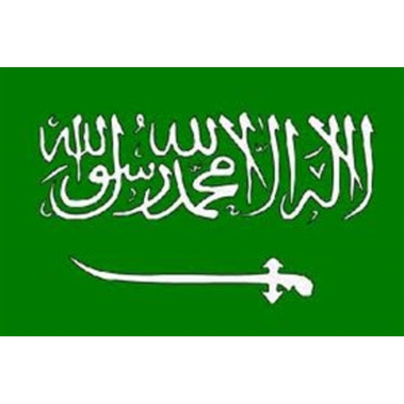 Flag 3X5 Saudi Arabia