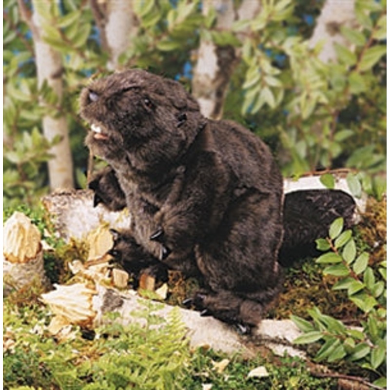 Puppet Beaver