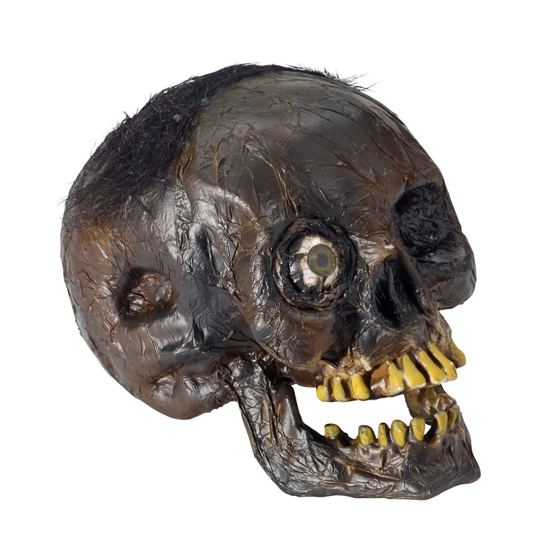 Rotten Skull Prop
