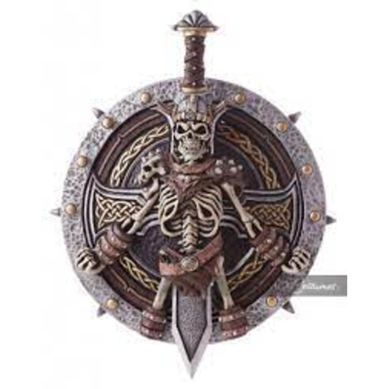 Viking Sword and Shield