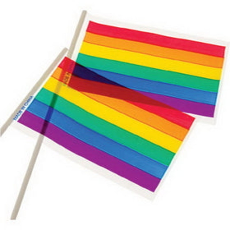 Flag Pride Plastic 4X6 12CT