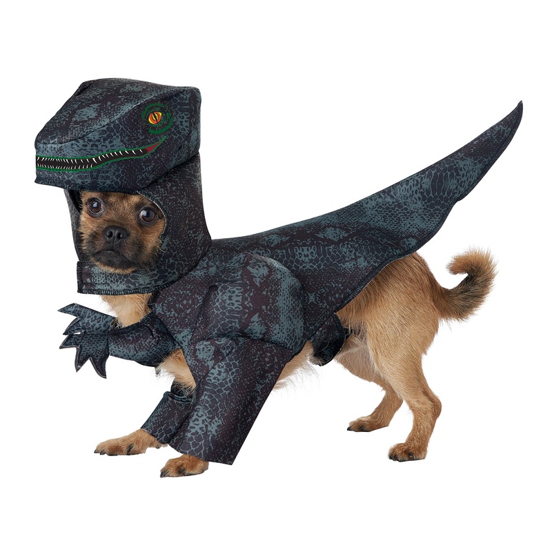PUPASAURUS REX / DOG COSTUME