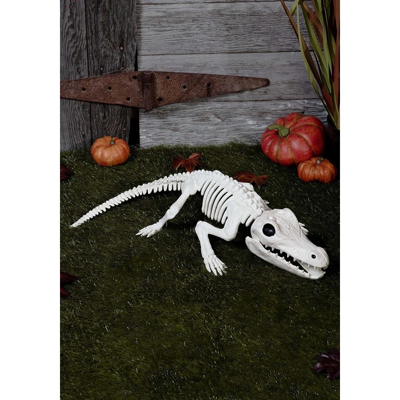 Skeleton Crocodile
