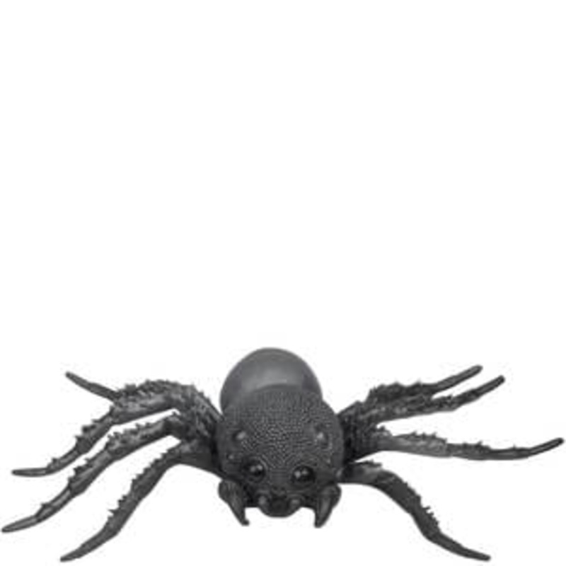 Spider Black Latex 21IN