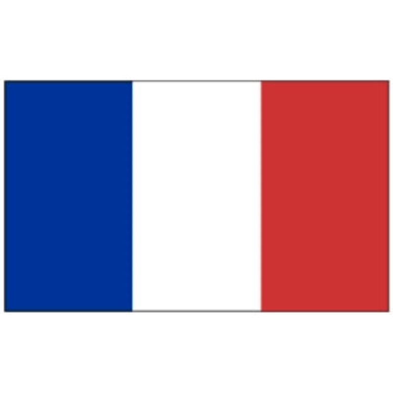 Flag 3X5 France