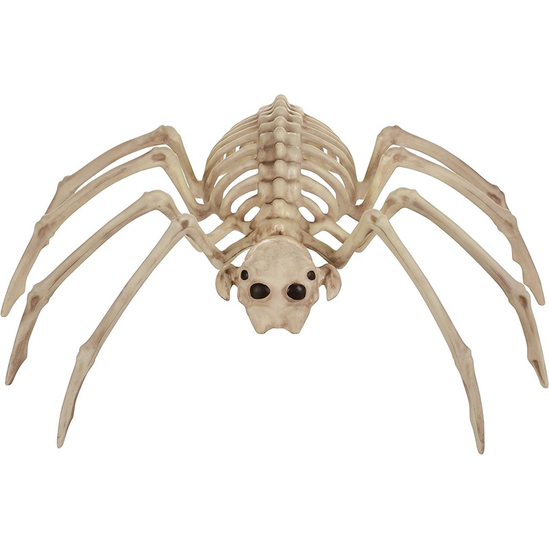 Spider Bonez 20INCH