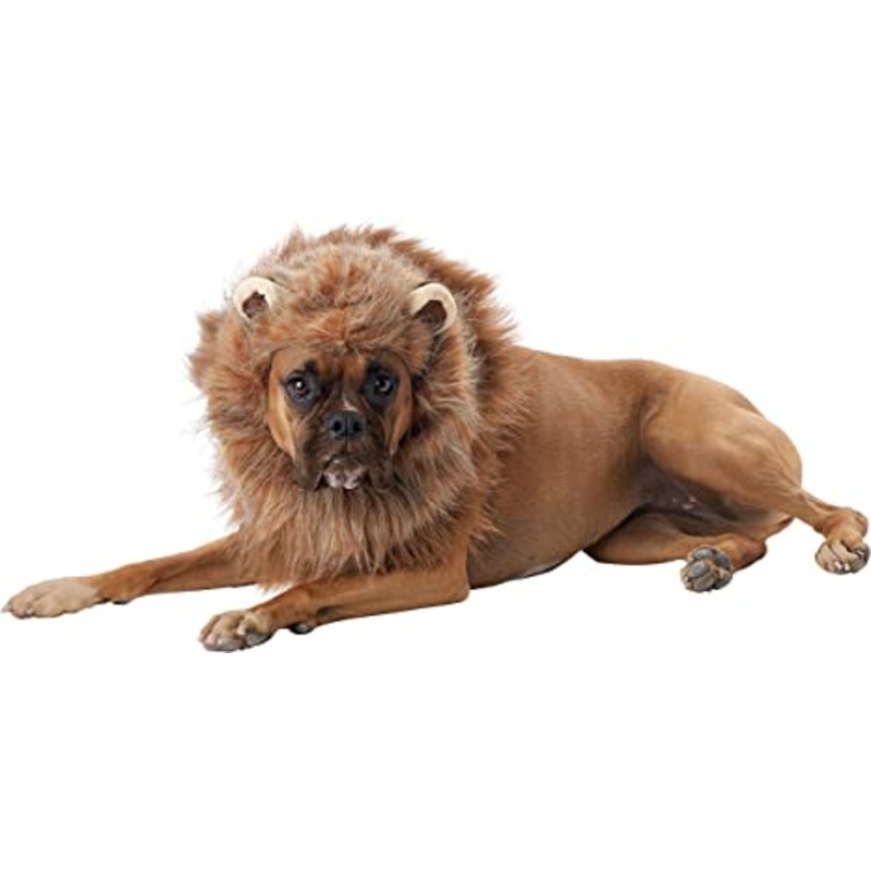 Lion Dog Costume