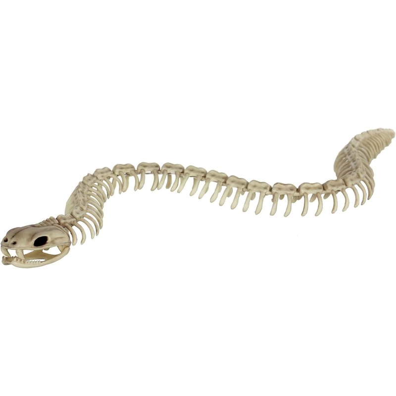 Skeleton Snake 36IN