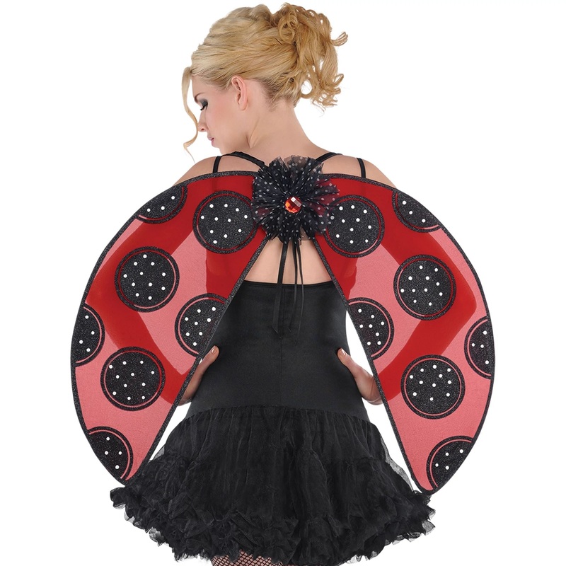 Wings Lady Bug