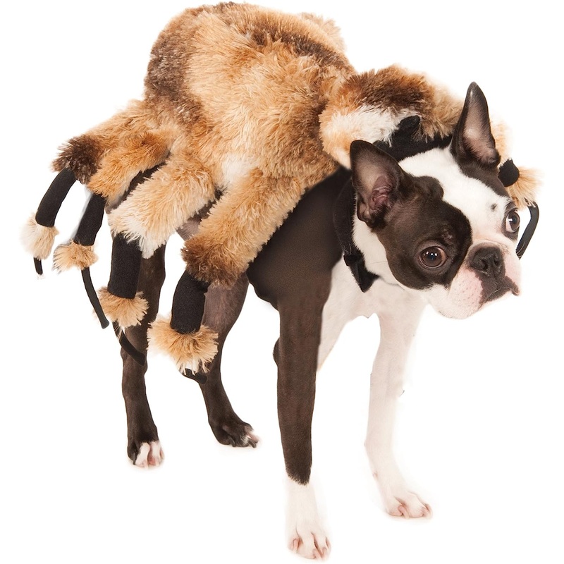 Dog Costume Giant Spider LG