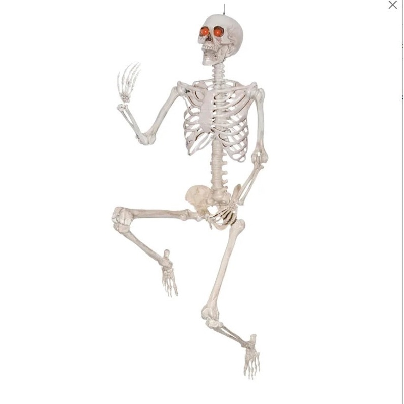 Skeleton Posable w/Lightup Red Eyed