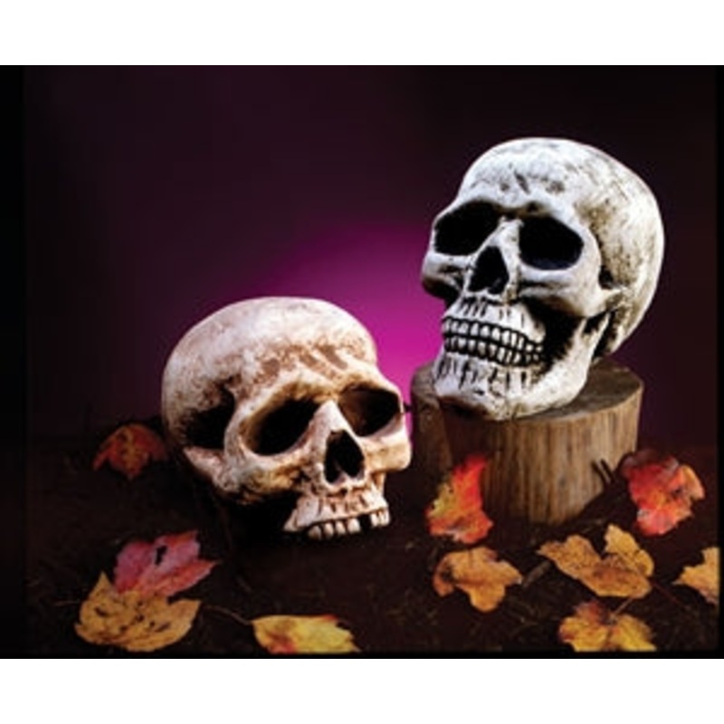 Skull Plastic