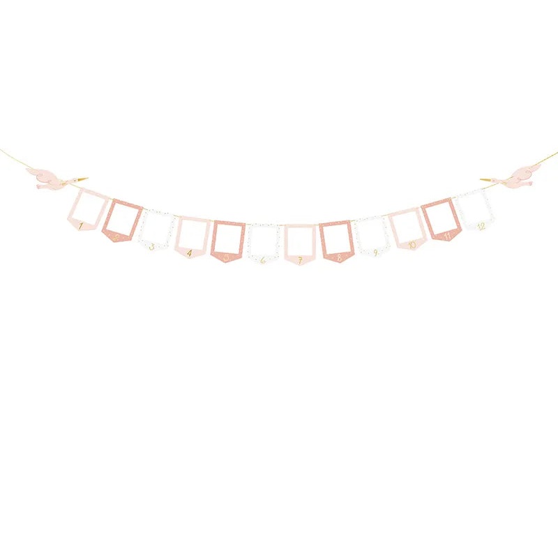 Stork Photo Frame Garland