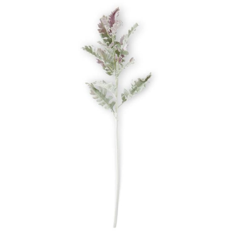 30.5" Soft Green w/Purple Tips Dusty Miller Stem