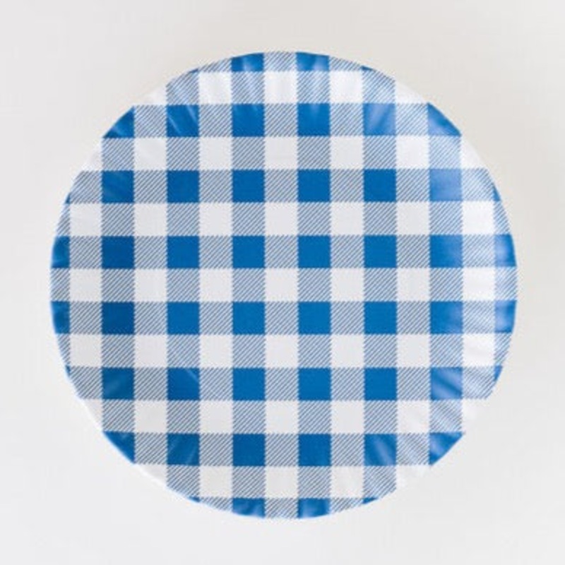 Blue Gingham Melamine Dinner Plates Set