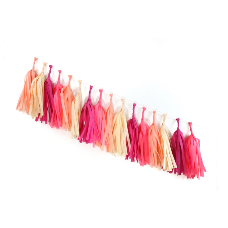 Macaron Tassel Garland Kit