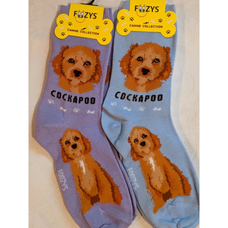 Cockapoo Canine | Socks
