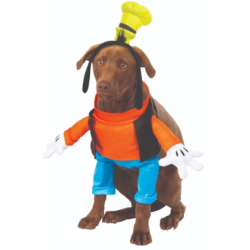Goofy Step | Pet