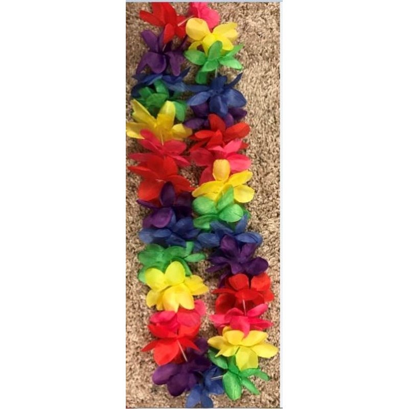 Spirit Lei 6ct | Rainbow
