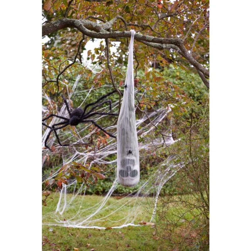 Skull in Spider Cocoon