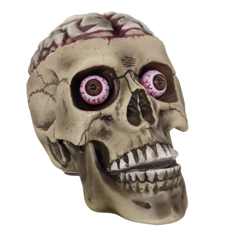 Skull With Bloody Brain | Halloween
