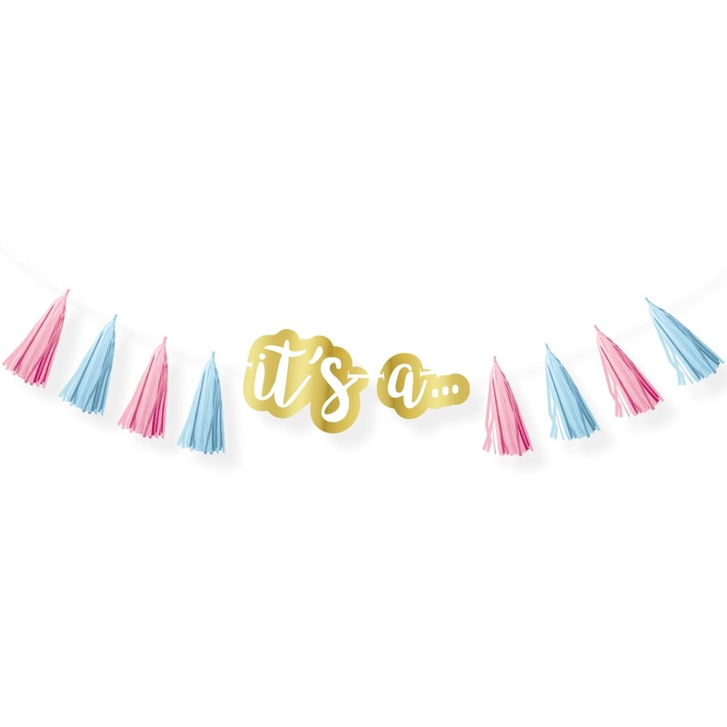 Gender Reveal Tassel Garland | Baby Shower